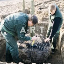 Kit ANCRAGE De MOTTE Avec CABLE Platipus Pour Arbre Jusqu'à 6m
