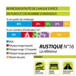 Sac De 10 Kg De Gazon Professionel D'agrément Carneau Rustique N°16 -EMA Magasin sac de 10 kg de gazon professionel d agrement carneau rustique n16 2